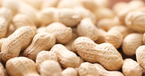 Pile of Raw Peanuts in Shells Close-Up