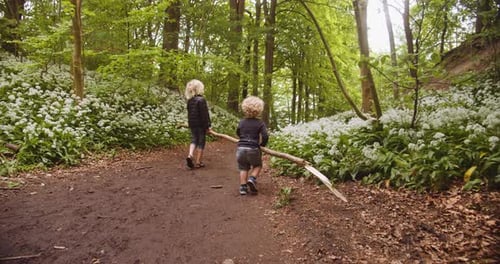 Brothers Walking in the Path Helping Each Other Carry a Long Tree Branch