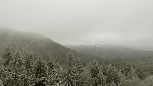 Winterwald durch die Wolken