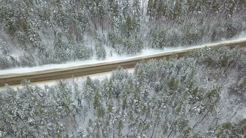 Winter Forest Country Road