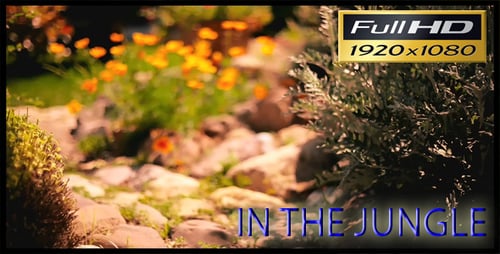 Garden Path Featuring Flowers, Bushes and Stones