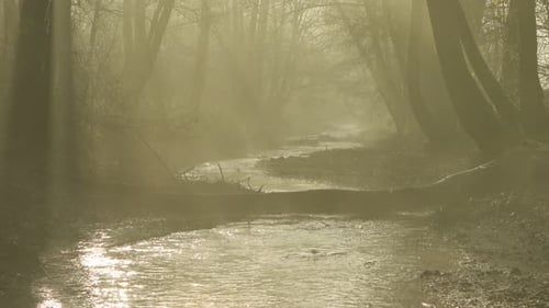 River 4K