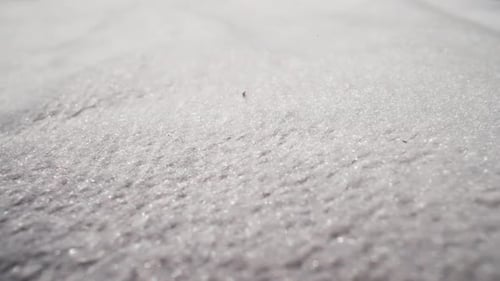 White Fabric with Glitter Threads at Bright Light Close View