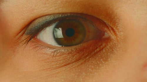 Human Eye with Long Eyelashes with Mascara