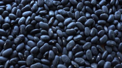 Pile of Fresh Black Beans Close Up