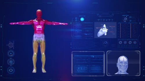 Human Anatomy and Medical Data Display with Futuristic HUD Interface