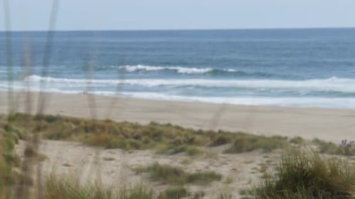 Ocean Beach