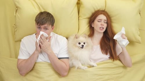Man and Woman Sick in Bed with Dog