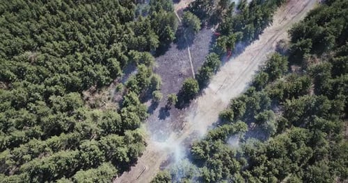 Ground Fire in Forest During Dry Season. Road Runs Through Burning Forests, Aerial View.