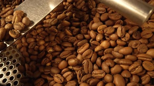 Coffee Beans Churn in Production Machine