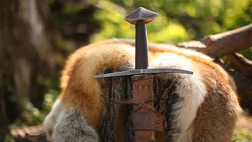 Fox Pelt and Rusty Sword in Forest