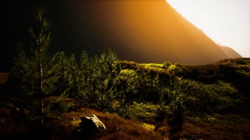 Beautiful Green Forest and Mountains at Golden Sunset