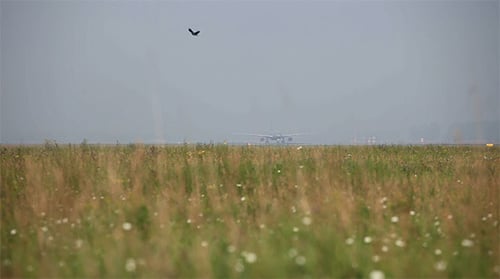 Take-off