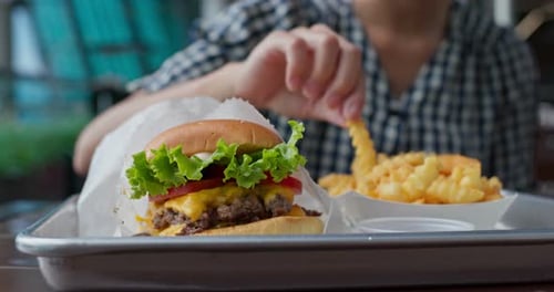 Fast Food Burger and French Fries