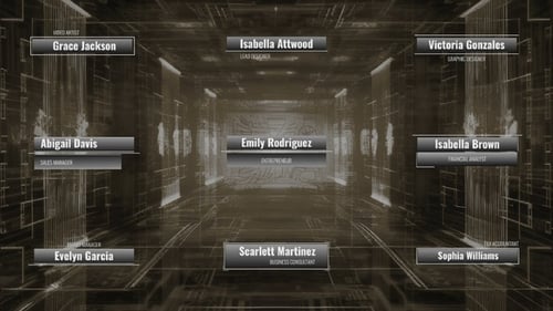 Classic Elegant Lower Thirds for DaVinci Resolve.