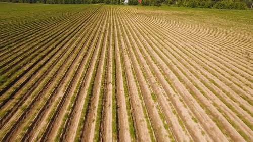 Aerial View of Farmland.