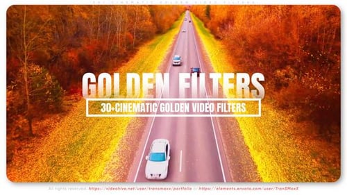 30+ Cinematic Golden Video Filters