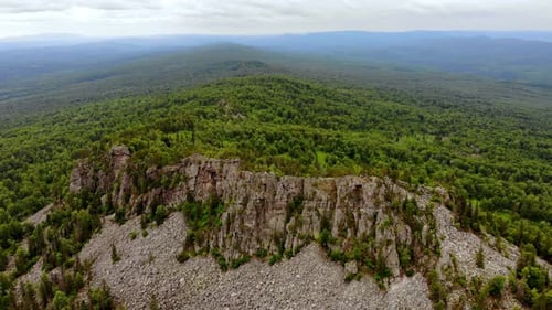 Dichter und großer Wald rund um den Ridge