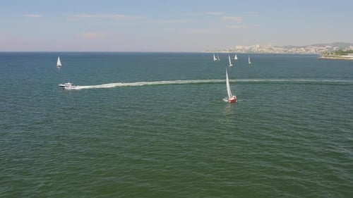 Regatta auf See