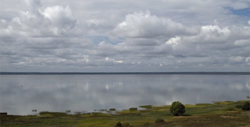 Summer Landscape