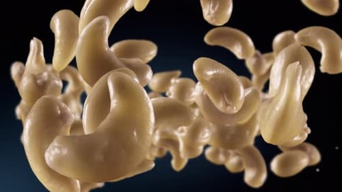 Close Up Shot of Rotating Pasta Shapes