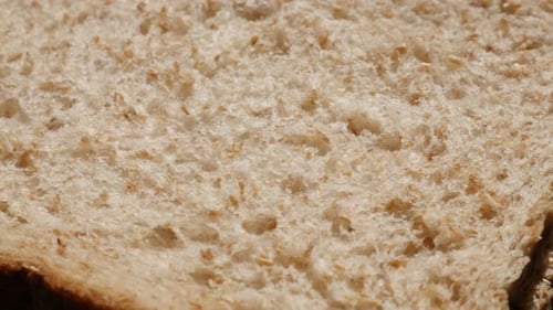 Whole grain toast bread baked surface close-up slow tilt 4K 2160p 30fps UltraHD footage - Shallow DO