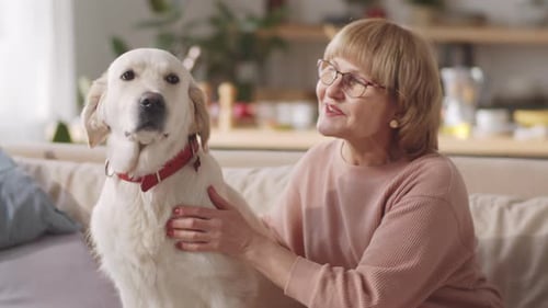 Senior Woman Petting Golden Retriever on Couch
