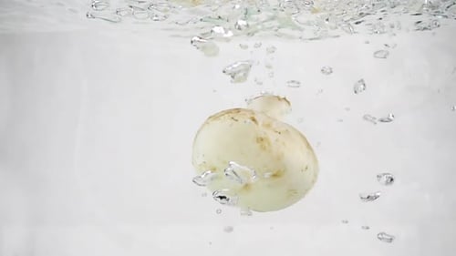 Mushroom Champignon Slowly Sinks Into Boiling Water, Slow Motion Close-up