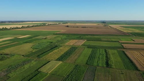 Aerial View Fly Over The Field