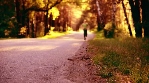 Sport Man Running at Asphalt Road. Rural City Park. Green Tree Forest and Sun Rays on Horizon.