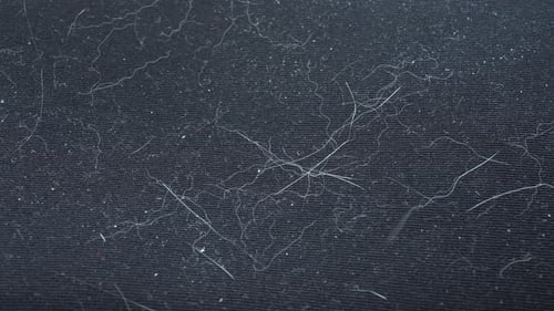 Extreme Close Up of Lint and Hair on Fabric