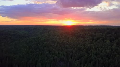 Beautiful Nature of the Sky From a Bird'seye View