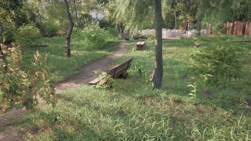 Beautiful Bench in the Park at Spring Sunny Day