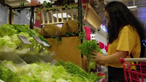 Conceito de compras de supermercado