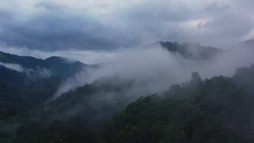 Mountain Slopes Covered with Rainforest and Jungle