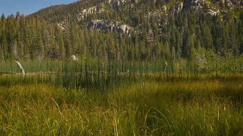 Lac Sotcher dans la nature sauvage d'Ansel Adams en Californie, États-Unis