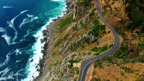 Coastal road surrounded by greenery