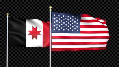 United States Flag and Stylized Star Flag Waving Animation