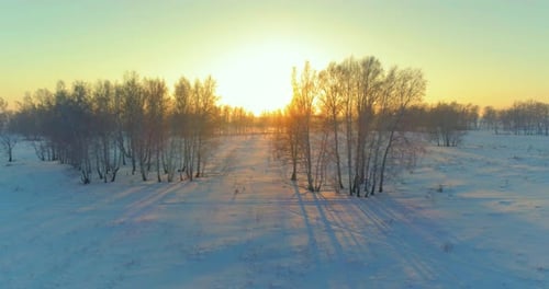 Aerial Drone View of Cold Winter Landscape with Arctic Field, Trees Covered with Frost Snow and
