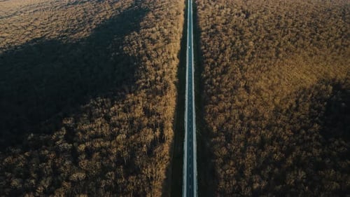 Aerial View of Cars Traveling Middle of the Forest on the Road