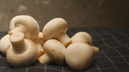 Tela a cuadros con fondo gris rotado con champiñones blancos frescos