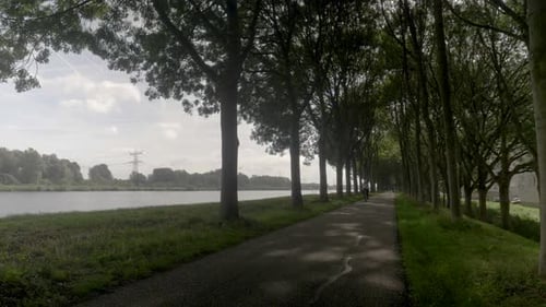 Woman cycling on road in a typical Dutch village countryside. Bicycle lane road with green grass and