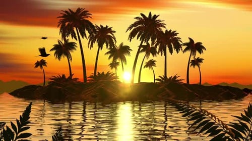 Tropischer Sonnenuntergang
