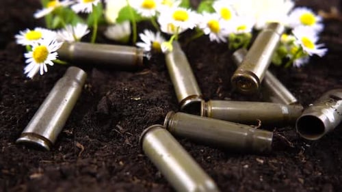 Bullet casings fall to the ground and chamomile flowers. Slow motion.