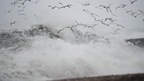 Tempestuous ocean with extreme crashing waves along coastline, Rotterdam