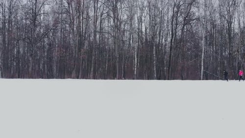 A Man and a Woman Run in the Winter Through the Woods Training and Doing Their Health. Morning