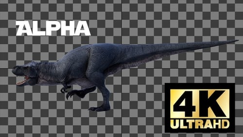 Dinosaur Tyrannosaurus Walk And Roar Loop With Alpha Side View