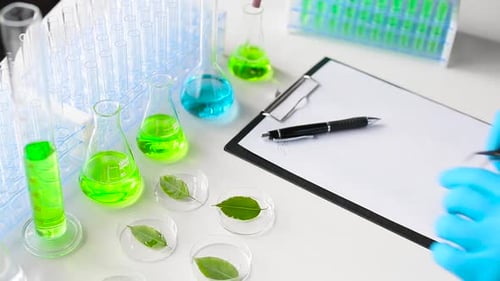 Close Up Lab Experiment with Leaf