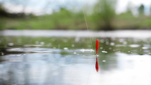 Fishing Bobber Floating on Calm Lake Water