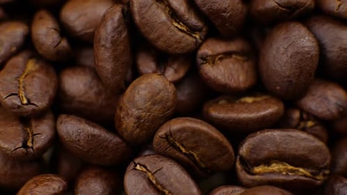 Detailed Close Up of Roasted Coffee Beans